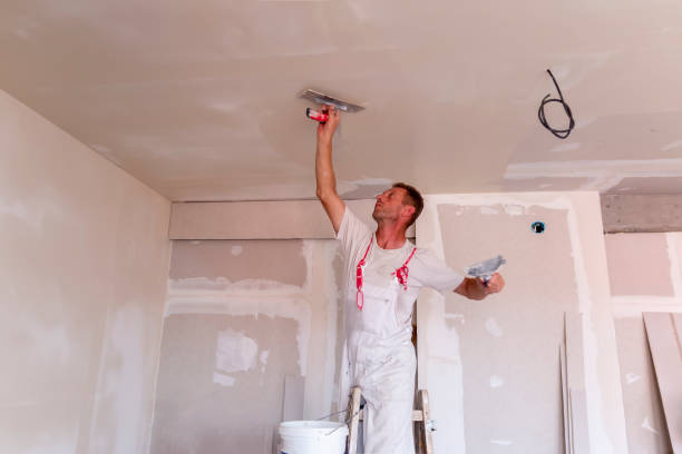 New London, MN Drywall and Painting Service Company